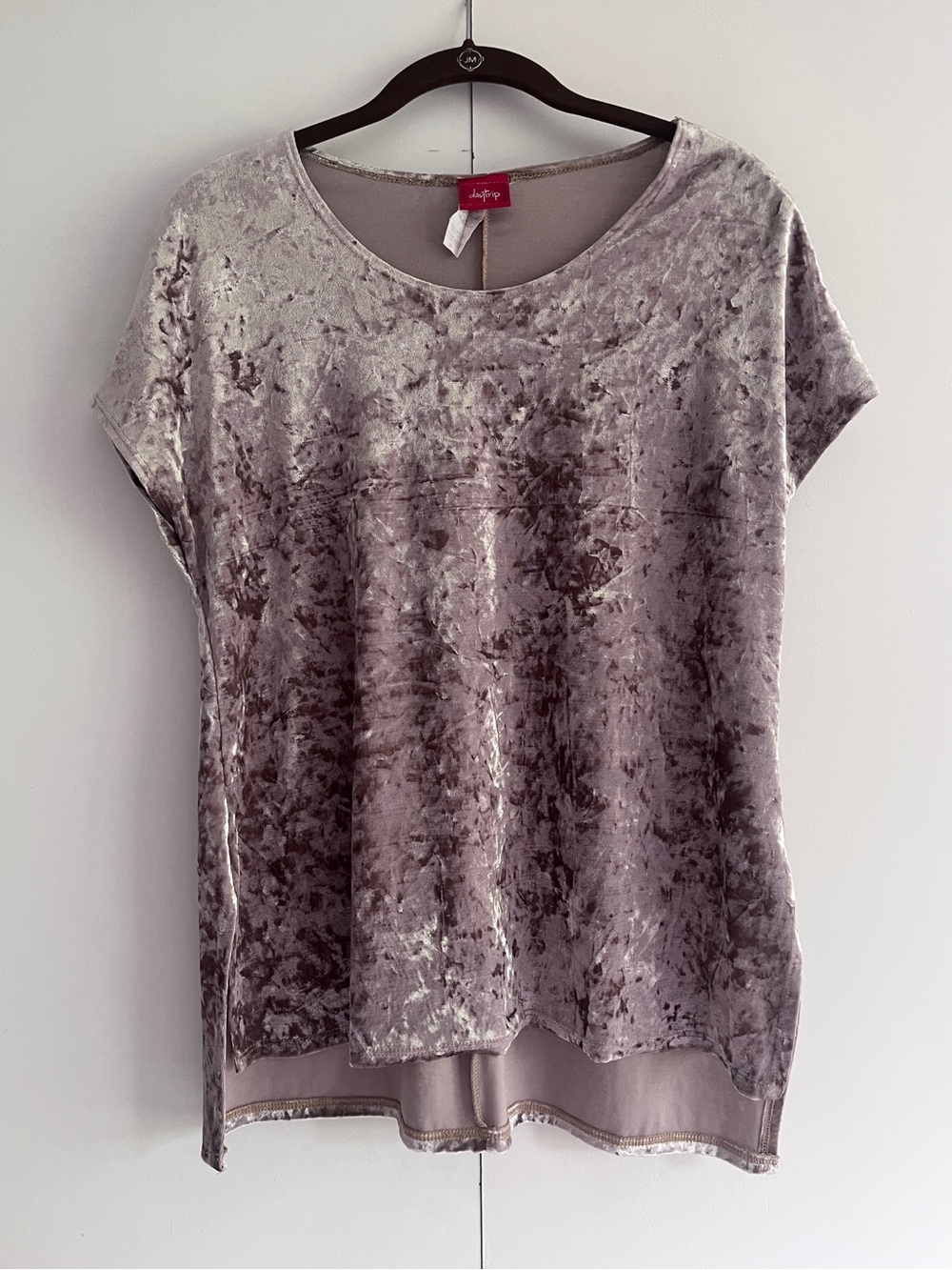 Daytrip Crushed Velvet Short Sleeve Top - Taupe